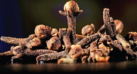 The healing magic of clove