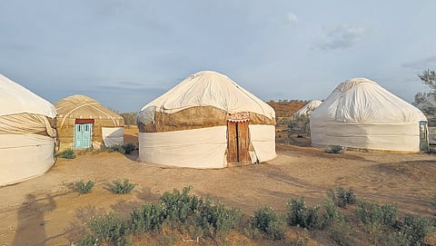 Yurt camp