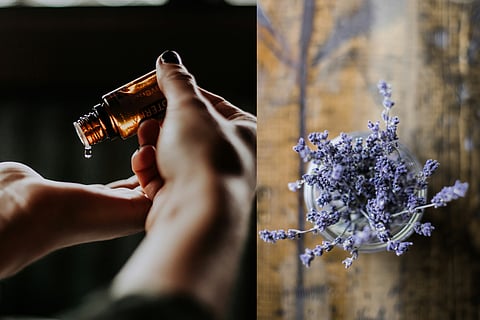 Five beauty benefits of lavender