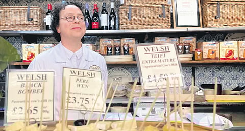 A variety of cheese on displayPhoto | Teja Lele