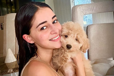 Ananya Panday turns pet parent to an adorable poodle, Shanaya Kapoor is ready for aunt duties