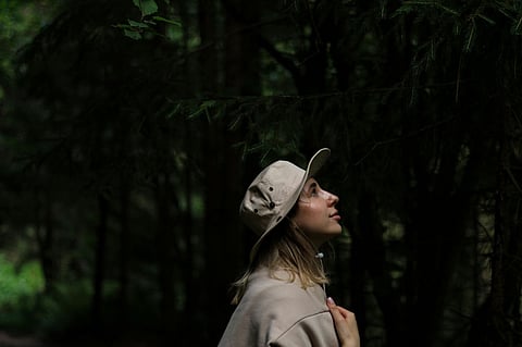 Forest Bathing: Immersing in nature for mental and physical rejuvenation