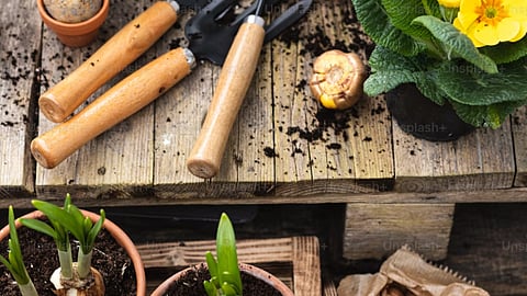 Image for representational purpose