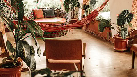 World Environment Day: Décor ideas to give your indoors a green and serene look