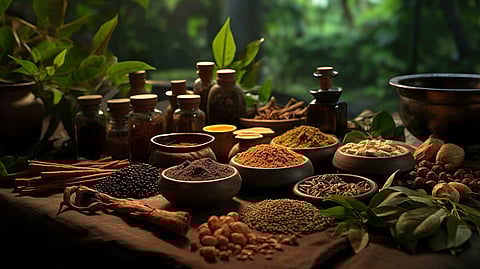 In frame: Ingredients used for ayurvedic treatment