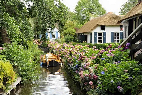 Cottage Core
