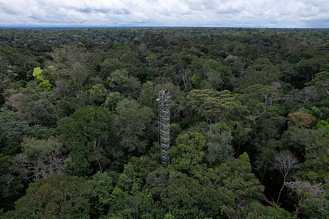Workers stand atop a tower that will spray carbon dioxide into the rainforest north of Manaus, Brazil (File Photo: May 23, 2023)