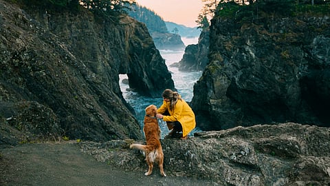 Paw-some getaways: Four pet-friendly destinations to save for your next trip