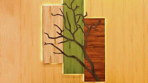 From De-Madera collection