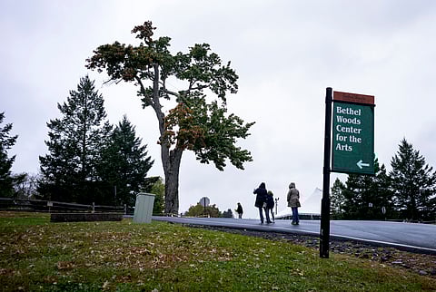 The Message Tree, a tree at the legendary 1969 Woodstock festival used by concertgoers as a sort of message board, is seen before it's cut down on Sept. 25, 2024, at Bethel Woods Center for the Arts in Bethel, NY, the site of the storied 1969 concert and arts festival