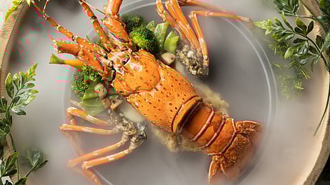 A dish from the Italian Food Festival