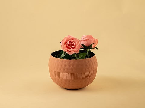 A Vase from the edit