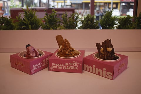 Mini Chocolate Fro Yo