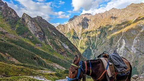 Image for representational purposes