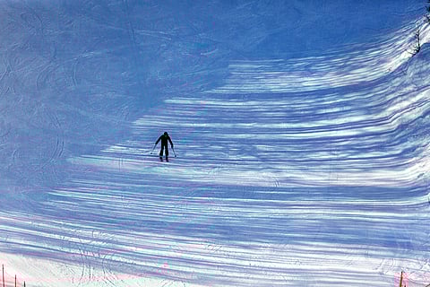 Artwork by Ayesha Dalvi