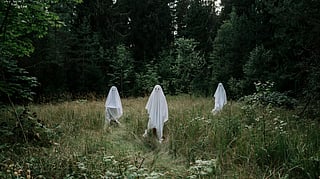 Can you handle these five terrifying horror films this Halloween?