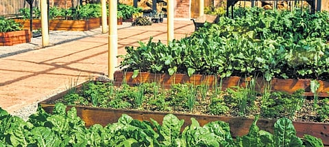 Image for representational purposes