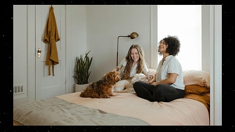 How pets boost the mental health of working professionals