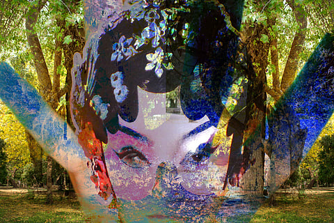 Forest of the Saints