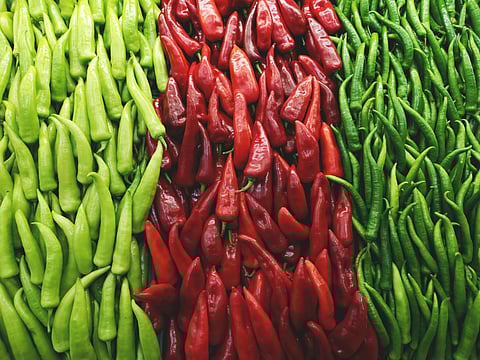 Spiciest chillies from around the world