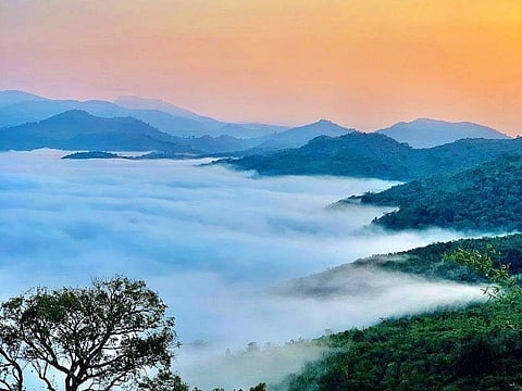 Lambasingi Andhra Pradesh: South India’s viral winter wonderland