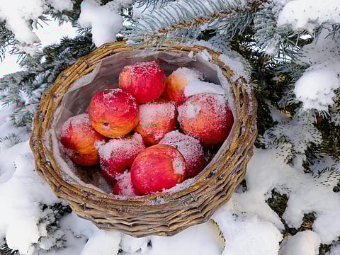 Image for representational purposes