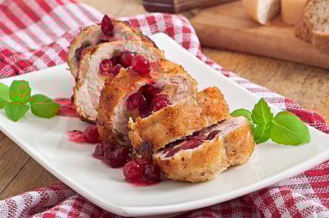 Festive turkey with cranberry sauce