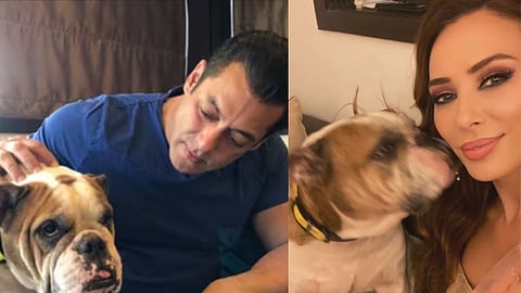 Salman Khan with Toro (L); Iulia Vantur with Toro