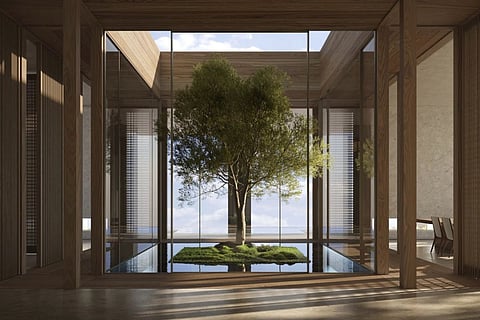 This rendering created by DN8 and provided by ODA Architecture shows a living tree situated in an infinity pool inside a private residence designed by ODA in New Delhi