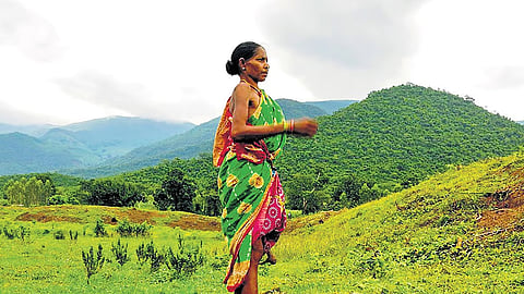 Still from the Seed Stories