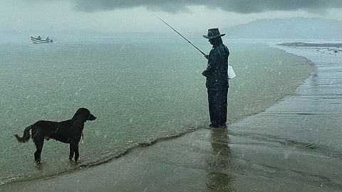 A photo from Raindogs by Rohit Chawla