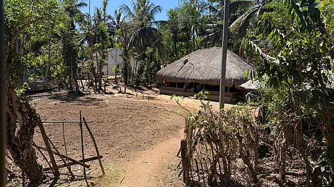 We explore Kuruba culture, tribal settlements and culinary delicacies of Kabini — one of Asia’s largest tiger reserve