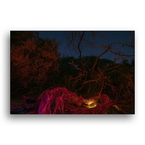 This art show brings emerging South Asian artists to Delhi