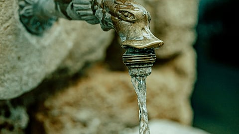 Did you know some of your favourite celebrities have also raised their concerns over water conservation?