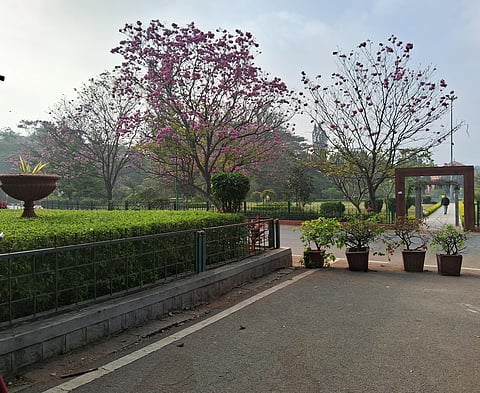 Take a stroll through the history of Bengaluru with these curated walks