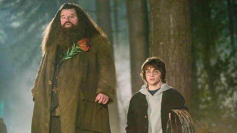 The Harry Potter TV show may have a Hagrid already