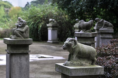 Image used for representational purposes (Source: Pixabay)