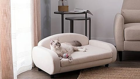 A home designed for your pets