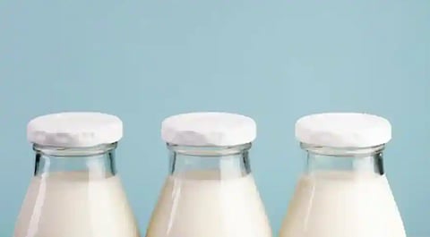 Have you ever tried lactose-free milk?
