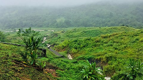 Here is all you need to know about Bohag Bihu, the Assamese New Year