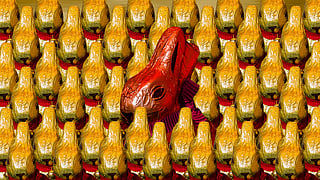 Image used for representational purposes