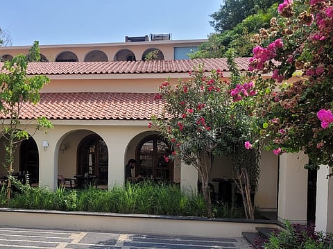 Ambience of the restaurant