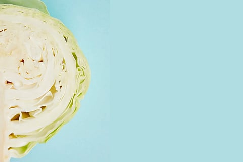 Four easy ways you can store cabbage to prevent wastage