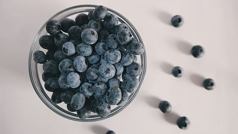 Amla vs. blueberries: which superfruit should you choose this summer?