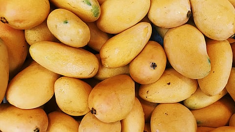 Why mangoes are still great for you—even with all those calories