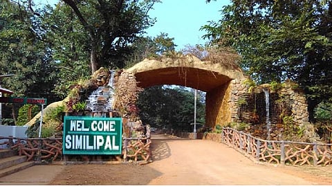 Similipal declared Odisha’s newest national park