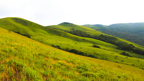 Where are you taking your mum this Mother's Day?