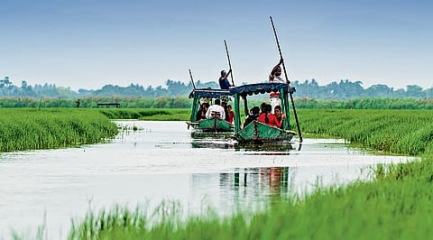 A ferry ride on Chilika Lake