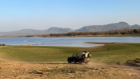 Here’s where you can spot royal Bengal tigers in Madhya Pradesh with the royalty of Bhopal while savouring the lost recipes of their family