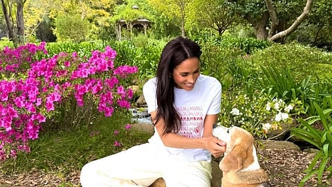 Meghan Markle criticised by Montecito neighbour for being private